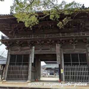 周防国分寺仁王門