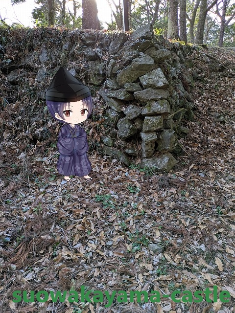 若山城跡・石垣