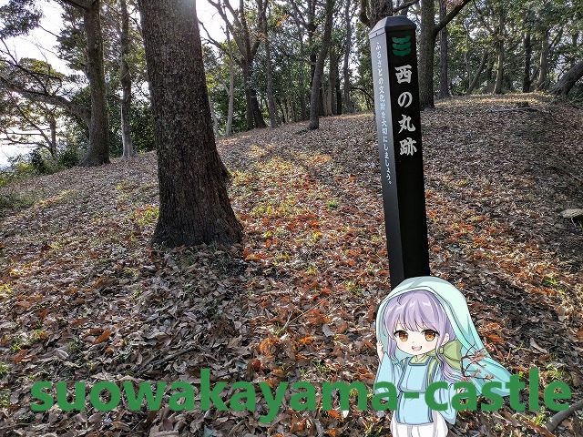 若山城・西の丸