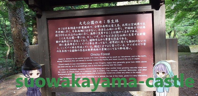 大元公園・「モミの原生林」説明看板