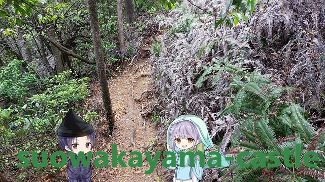 駒ヶ林への道