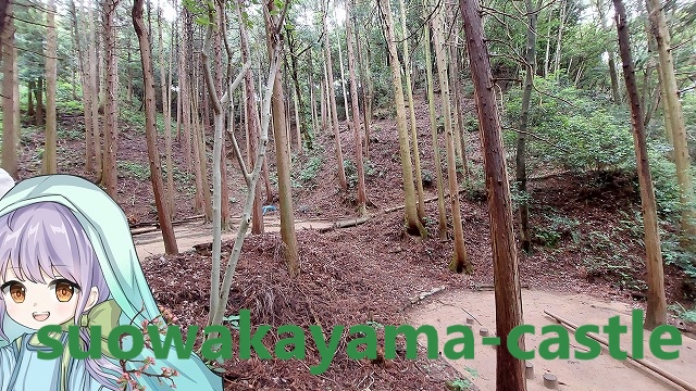 銀山城・ふれあい樹林付近削平地