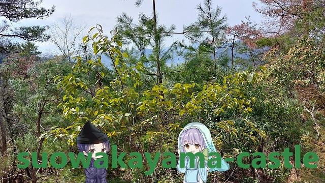 吉田郡山城・山道4