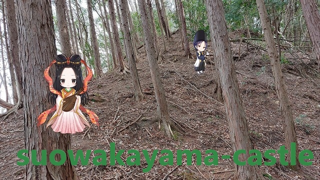 天神山城・削平地