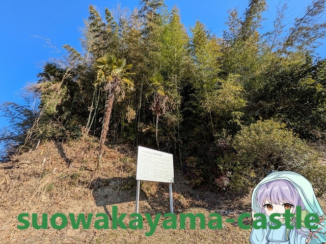 御薗宇城・城の姿