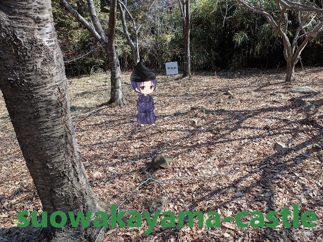 頭崎城・甲の丸