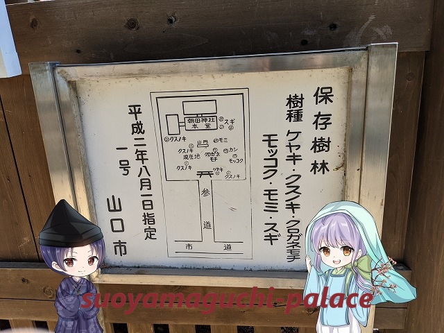 朝田神社「保存樹木」看板