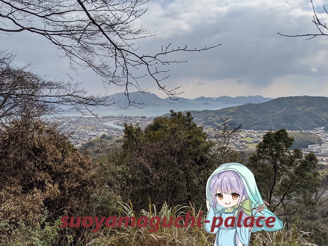 若山城跡・山頂展望