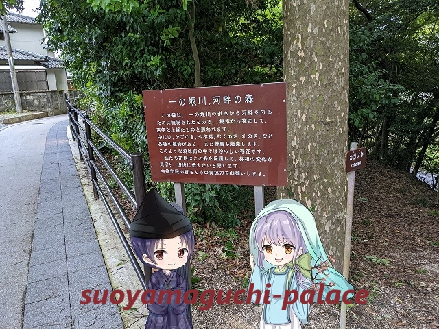 一の坂川・河畔の森