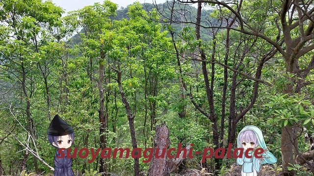 槌山城・鬼ヶ城山頂