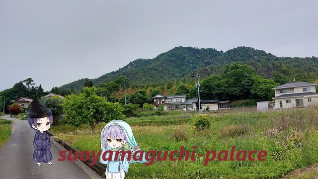 槌山城・遠景